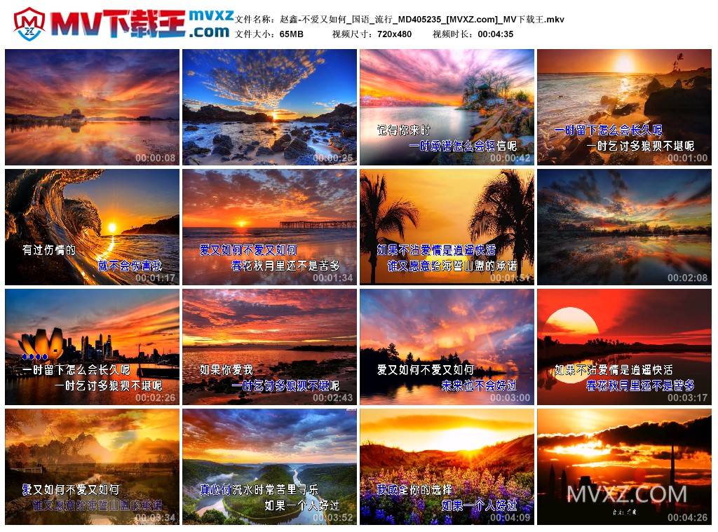 赵鑫-不爱又如何_国语_流行_MD405235